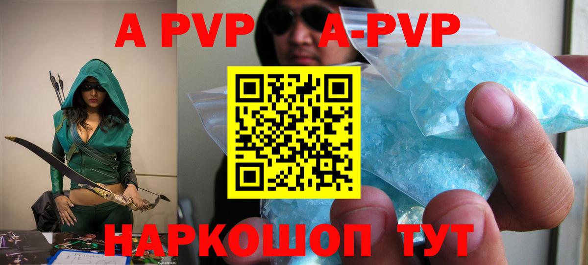 Alfa_PVP СК Сосновый Бор