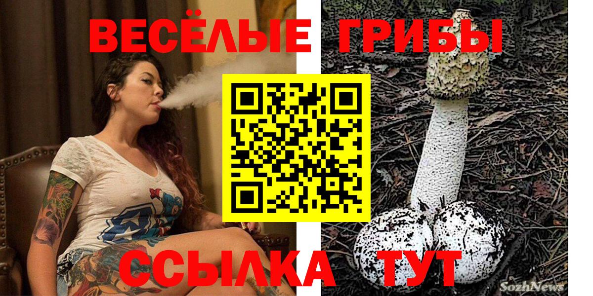 Сосновый Бор  Галлюциногенные грибы Magic Shrooms  Вход с VPN  Галлюциногенные грибы мухоморы 