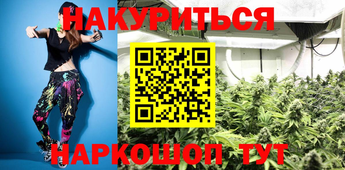 Шишки марихуана Amnesia Сосновый Бор